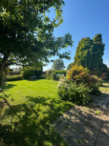 Cottage Garden
